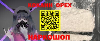 стаф Заводоуковск
