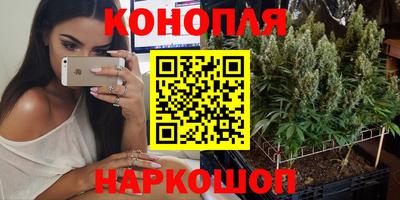 стаф Заводоуковск