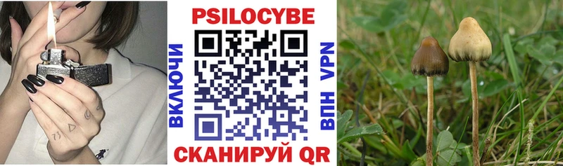 Псилоцибиновые грибы прущие грибы  дарнет шоп  блэк спрут зеркало  Малоярославец 